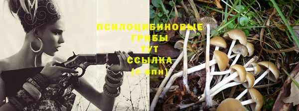 ешки Алзамай
