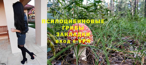 герыч Алексин