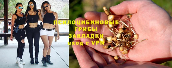 ешки Алзамай