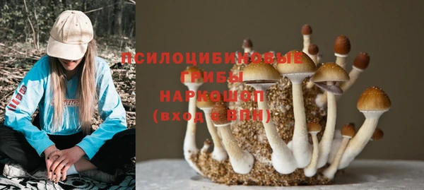 не бодяженный Абинск