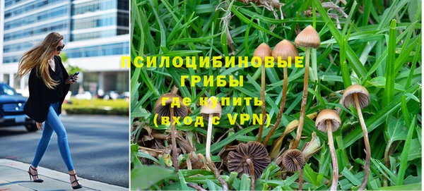 ешки Алзамай