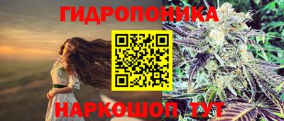 спайс Малгобек