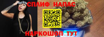 спайс Малгобек
