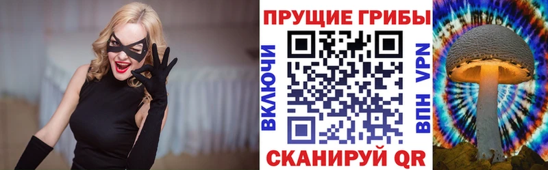 blacksprut   Полысаево  Псилоцибиновые грибы Cubensis 