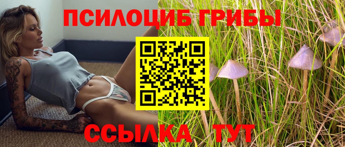 Псилоцибиновые грибы прущие грибы  Вход с VPN  Полысаево  Псилоцибиновые грибы MAGIC MUSHROOMS 