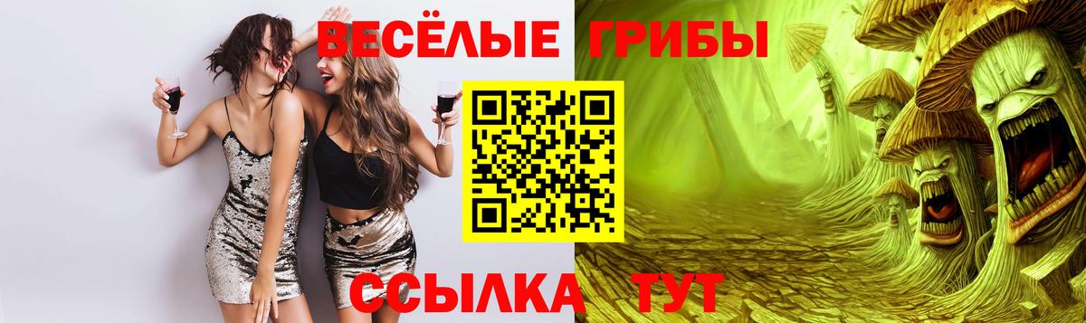 Псилоцибиновые грибы Psilocybe Полысаево